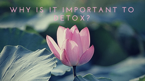 why its important to