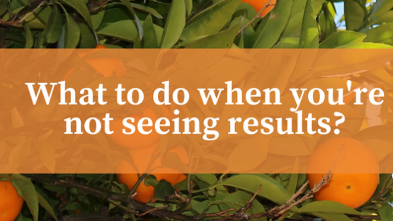 What to do when you’re not seeing results? What-to-do-when-youre-not-seeing-results?